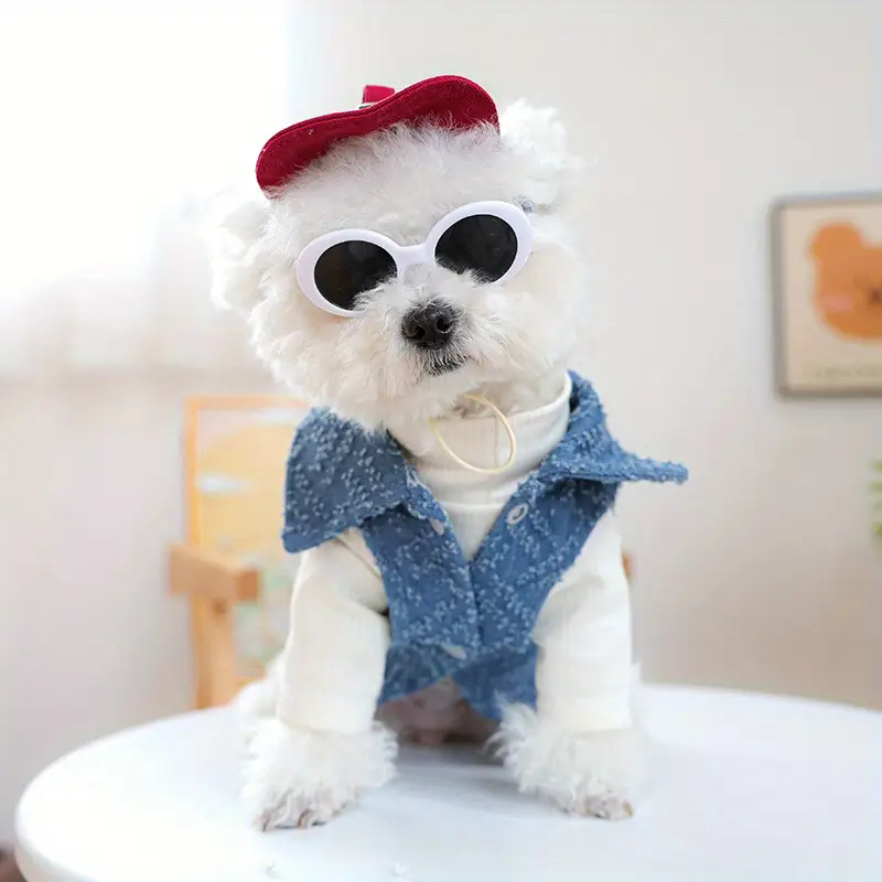 Dog Fashion Baseball Cap with  - đánh giá và giá Street Fashion Shoot